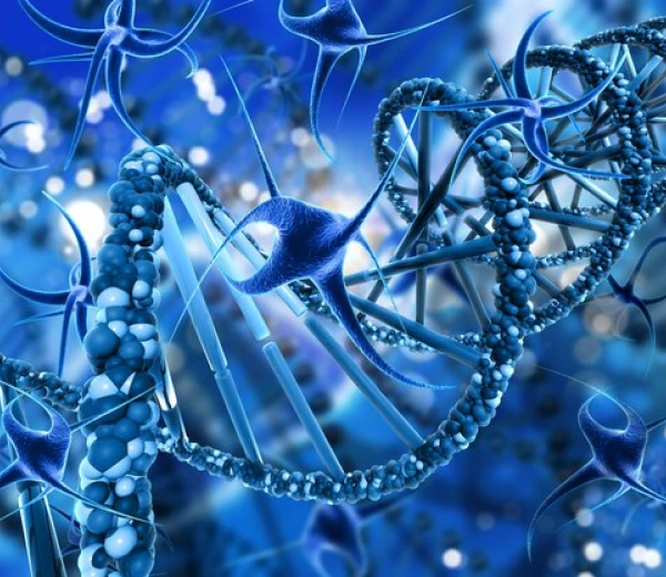 Formation professionnelle en Allemagne